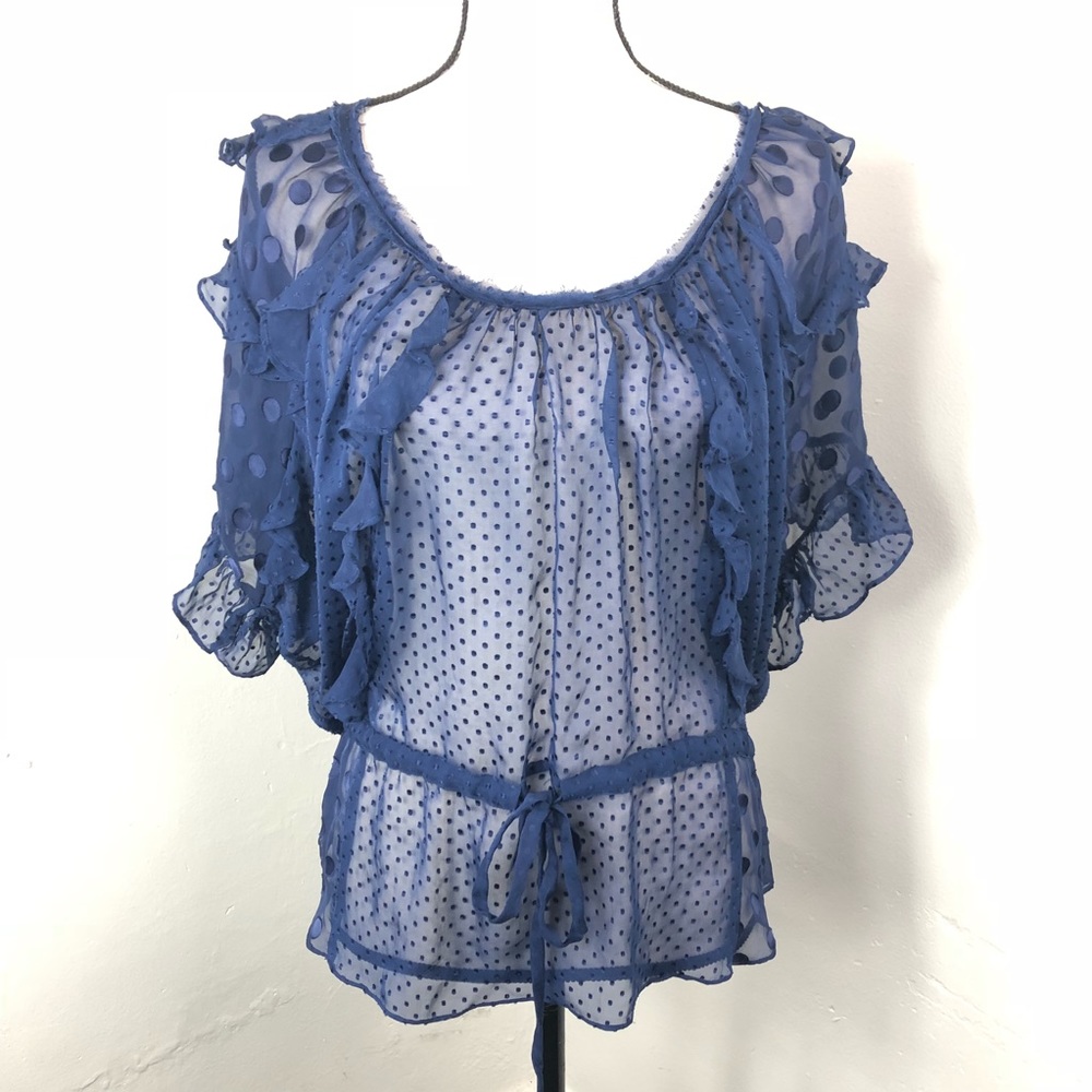 Rebecca Taylor Blue Polka Dot Sheer Blouse 6